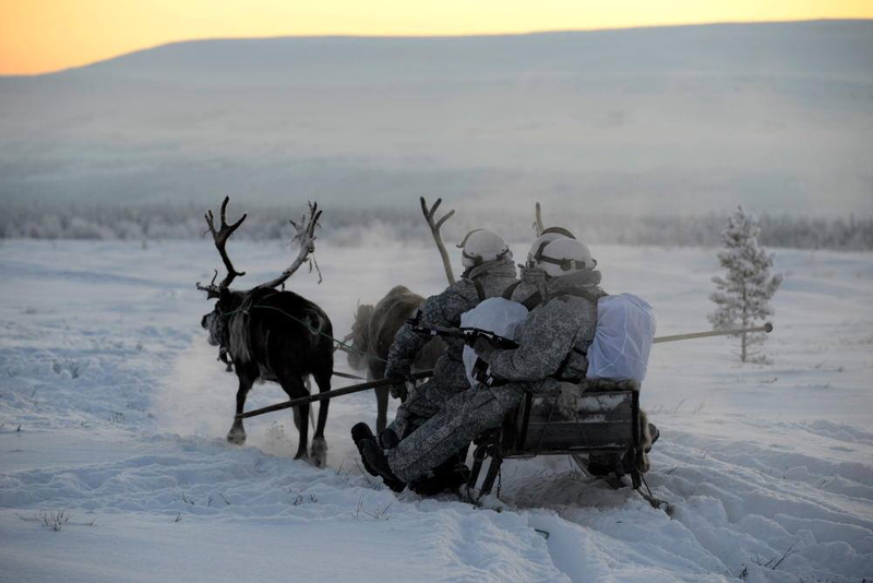 Illustration for article titled Russian Soldiers Go Native For Arctic Ops Using Reindeer And DogsledsĀ